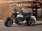 2013 Harley-Davidson Harley Davidson FLSTFB Softail Fat Boy Lo 110th Anniversary